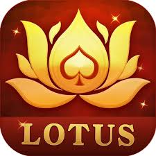 a rummy download